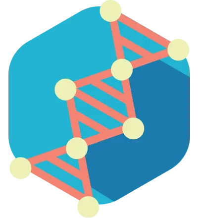 Animation of DNA strain